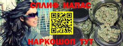сатива Тверь