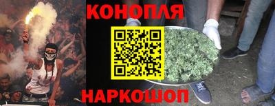 сатива Тверь