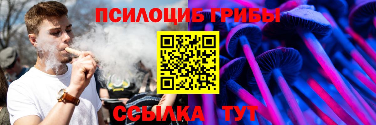 Галлюциногенные грибы Cubensis Барнаул